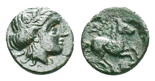 Ancient Greek  | Gargara, Troas | Æ8 | ca. 350 BC