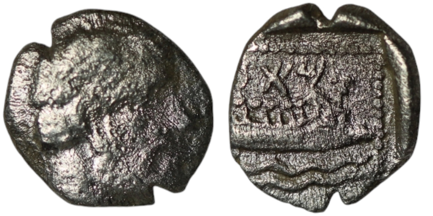 Phoenicia | Arados | AR 1/12 Shekel | 380-351 BC