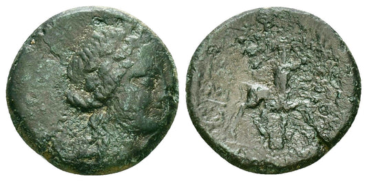 Kingdom of Bithynia | Prusias II | Æ Chalkon |  182-149 BC