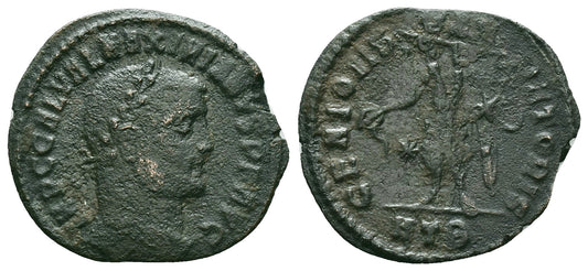 Roman Empire | Maximinus II | Æ Follis | 310-313 AD