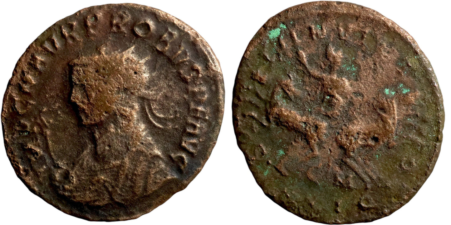 Roman Empire | Probus | Æ Antoninianus | 277 AD